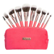 Kit Brochas x10 Rosa Terciopelo Trendy