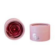 Iluminador Facial Gabrielle 6 g Bloomshell