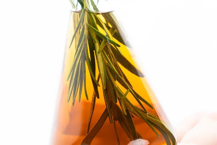SHAMPOO ELIXIR DE ROMERO *550ML MENTA HAIR