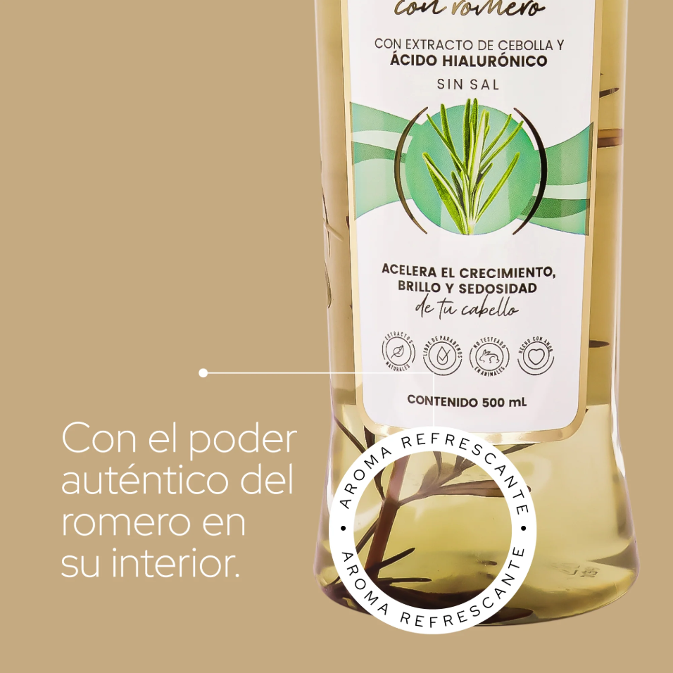 Shampoo Con Romero Anyeluz X500Ml